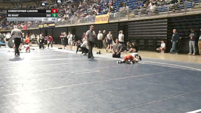 89 lbs Round Of 16 - Christopher Liguori, Avon Grove vs RJ Shay, Saegertown