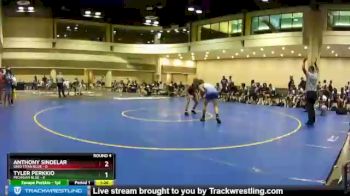 113 lbs Round 4 (10 Team) - Anthony Sindelar, Ohio Titan Blue vs Tyler Perkkio, Michigan Blue