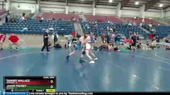 132 lbs Semis & 1st Wrestleback (8 Team) - Tanner Wallace, Oregon2 vs Jaxon MacKey, NEVADA1