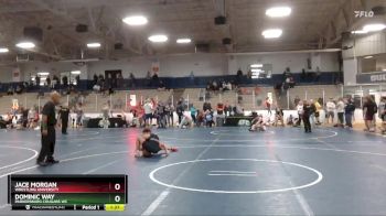 130 lbs Cons. Round 6 - Jace Morgan, Wrestling University vs Dominic Way, Parkersburg Cougars WC