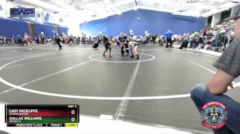 52 lbs Cons. Round 2 - Liam Wickliffe, Olathe Raptor vs Dallas Williams, Minion TC