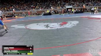 D1-132 lbs Cons. Round 1 - Michael Cannon, Detroit Catholic Central HS vs Owen Perry, Romeo HS