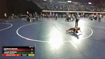 49 lbs Quarterfinal - Asher Fewson, The Best Wrestler vs Gunnar Brown, Iowa