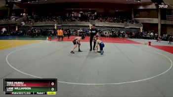 72 lbs Cons. Round 2 - Lane Williamson, UNITED vs Teeg Mursu, NYM (New York Mills)