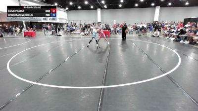 100 lbs Cole Palma, Ohio Gray vs Leonidas Murillo, Pennsylvania Blue