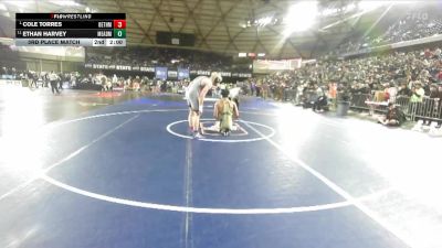 Boys 4A 190 lbs 3rd Place Match - Ethan Harvey, Mead vs Cole Torres, Bethel