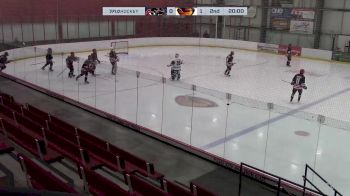 Replay: Home - 2025 Cougars U18 AAA vs Thrashers U18 AAA | Feb 7 @ 7 PM