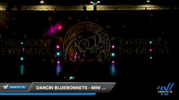 Dancin Bluebonnets - Mini Lyrical [2019 Mini - Contemporary/Lyrical - Small Day 1] 2019 Encore Championships Houston D1 D2