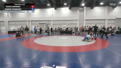 138 lbs 1st Place Match - Elijah Castanon vs Dominic Rodriguez
