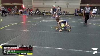 47 lbs Quarterfinal - Grayson King, Holt WC vs Tetsuo Anderson, Spartans WC