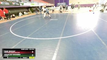 212-214 lbs Round 1 - Tage Skocny, Trailhands Wrestling Club vs Oswaldo Navarro, Illinois