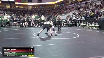 120 lbs Quarterfinal - Stoney Wood, Indianola vs Mitchell Pins, Dubuque Hempstead