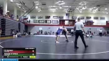 285 lbs Cons. Round 1 - Ty Petrey, Ashland vs Ronnie D`Amico, Lake Erie