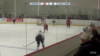 Replay: Home - 2024 Barons U12 vs North Shore U12 | Nov 30 @ 1 PM