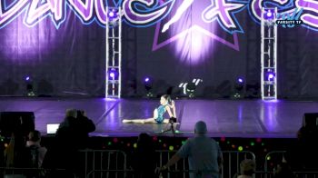 Iowa Elite Dance Team - Claire Steines [2025 Tiny - Solo - Contemporary/Lyrical Day] 2025 DanceFest Grand Nationals