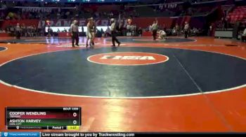 1A 195 lbs 3rd Place Match - Ashton Harvey, Coal City vs Cooper Wendling, Tremont