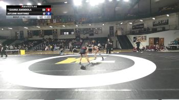 131 lbs Cons. Round 2 - Jaylene Martinez, Gannon University vs Gianna Amendola, East Stroudsburg University