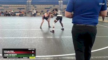 165 lbs Cons. Round 4 - Gabe McWhite, Mount Saint Joseph vs Dylan Fish, Archbishop Curley