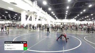 66 lbs Round Of 16 - Andres Tapia, Trybe vs Jace Jauregui, Madera WC