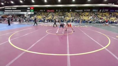 138 lbs Cons. Round 5 - Camden Tebay, Dell Rapids Wrestling vs Emerson Harwood, Black Hills Wrestling Academy