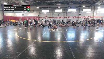 116 lbs Round 3 (12 Team) - Anthony Aiello, Prime Gold vs Elijah Roman, Scorpions