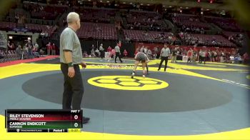 D3-175 lbs Cons. Round 3 - Riley Stevenson, Preble Shawnee vs Cannon Endicott, Elmwood