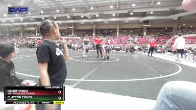 120 lbs Cons. Round 3 - Henry Perez, WR - Topeka Blue Thunder vs Clayton Chiles, Open Mats