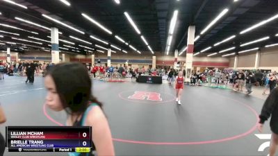 90 lbs Round 2 - Lillian McHam, Wesley Club Wrestling vs Brielle Trang, All American Wrestling Club