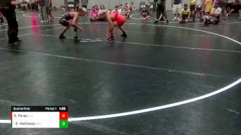 113 lbs Quarterfinal - Elijah Hattaway, Georgia vs Erik Perez, Florida