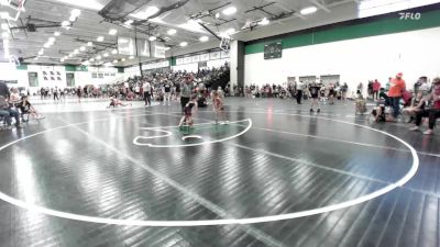 45 lbs Round 4 - Lenyx Uhlenhake, Immortal Athletics WC vs Rose Davidson, Slyfox Wrestling Academy