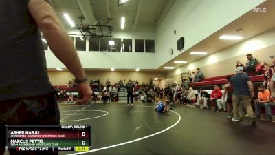 74 lbs Round 3 - Asher Harju, Anacortes Hawkeyes Wrestling Club vs Marcus Pettis, Team Aggression Wrestling Club