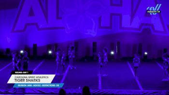 Carolina Spirit Athletics - Tiger Sharks [2025 L1 Mini - Novice - Restrictions - D2 Day 1] 2025 Aloha Concord Showdown
