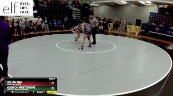 110 lbs. Cons. Round 4 - Lillian Gay, Park HIll South vs Addison Holtgrewe, Francis Howell Central