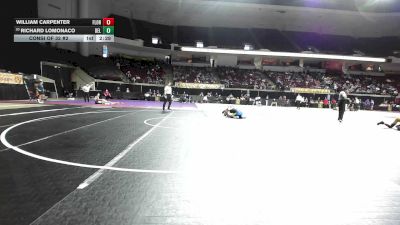 133 lbs Consi Of 32 #2 - William Carpenter, Florida vs Richard Lomonaco, Delaware