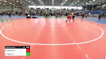 195 lbs Quarterfinal - Remy Brancato, NJ vs Josh Negron, DE