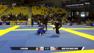 André Felipe Maciel Freire vs AJ Agazarm 2025 Master International IBJJF Jiu-Jitsu North American Championship