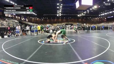 175 lbs Champ. Round 2 - Reyvis Soto, St. John Neumann vs Harrison Carnine, Cook