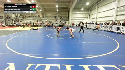 126 lbs Round Of 16 - Hayato Otero, VA vs Musa Tamaradze, MA