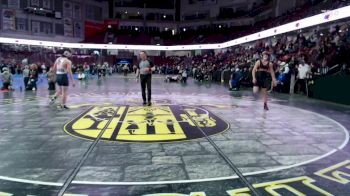 150 lbs Champ. Round 1 - Everett Ooi, Skyview vs Logan Schmidt, Columbia