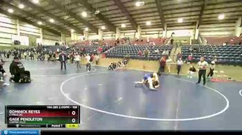 168 lbs 3rd Place Match - Gage Pendleton, Copper Hills vs Dominick Reyes, Cyprus WC