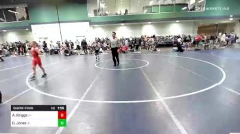 85 lbs Quarterfinal - Alex Briggs, OH vs Daniel Jones, NY