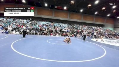 105 lbs 3rd Place Match - Lauren Catiis, Twelve Bridges vs Eva Bhattacharya, Menlo-Atherton