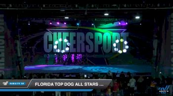 Florida Top Dog All Stars - Hail [2019 Senior Coed Medium 4 Day 2] 2019 CHEERSPORT Nationals