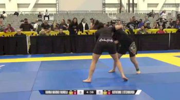 Katherine E Steenburgh vs Hanna Marika Vainola 2024 World IBJJF Jiu-Jitsu No-Gi Championship