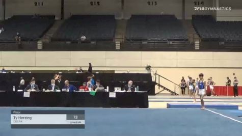 Ty Herzing - Floor, CEG PA - 2021 USA Gymnastics Development Program National Championships