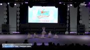 Ultimate Dance & Cheer - Diamonds Lyrical [2026 Tiny - Premier - Contemporary/Lyrical Day 1] 2026 ASCS Dance Grand Nationals & Cheer Nationals