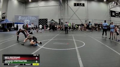 68 lbs Semis (4 Team) - Jackson Strittmatter, Kings K6 vs NICO DESTEFANO, High Pace Wrestling