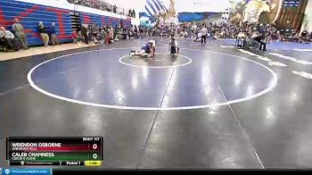 138 lbs Quarterfinal - Caleb Chamness, Coeur D Alene vs Wrendon Osborne, American Falls