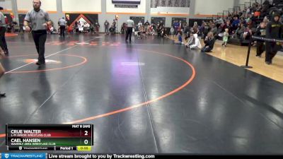 PW-13 lbs Quarterfinal - Crue Walter, L-M Junior Wrestling Club vs Cael Hansen, Waverly Area Wrestling Club