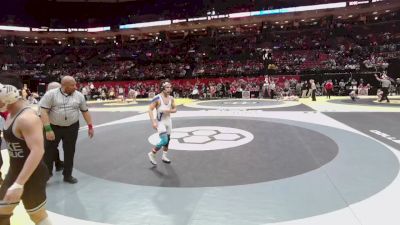 138 lbs Cons. Quarters - Jaxson Davidson, Coll Western Reserve vs Tyler Ineman, Lake Cath.
